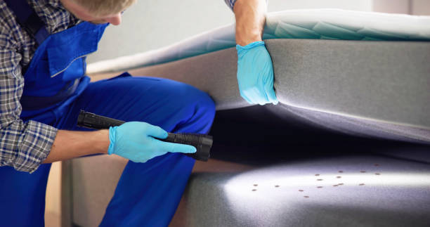 Best Affordable Pest Control Services  in Hempstead, TX