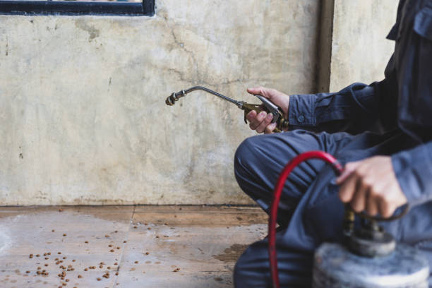 Reliable Hempstead, TX Pest Control Solutions
